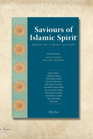 theilmcorner - saviours of islamic spirit - tarikh-i da'wat wa azimat book