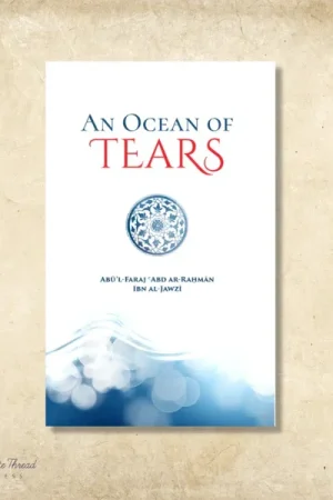 theilmcorner - an ocean of tears - a journey to rekindle the heart and renew the soul book
